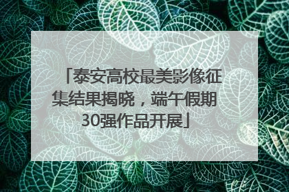 泰安高校最美影像征集结果揭晓，端午假期30强作品开展