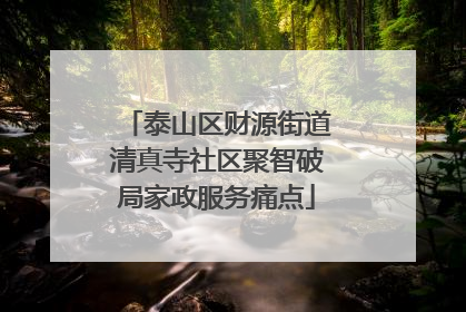 泰山区财源街道清真寺社区聚智破局家政服务痛点