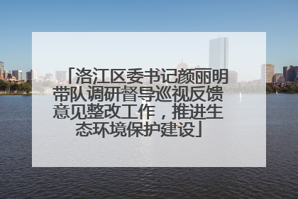 洛江区委书记颜丽明带队调研督导巡视反馈意见整改工作，推进生态环境保护建设