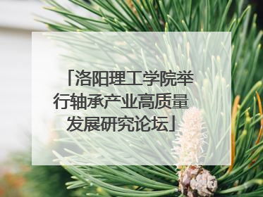 洛阳理工学院举行轴承产业高质量发展研究论坛