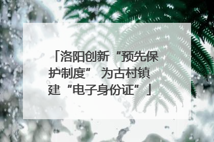 洛阳创新“预先保护制度” 为古村镇建“电子身份证”