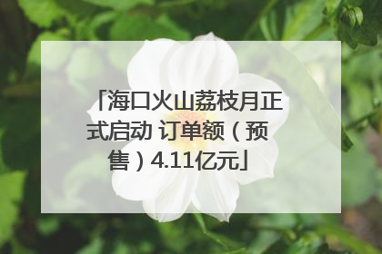 海口火山荔枝月正式启动 订单额（预售）4.11亿元