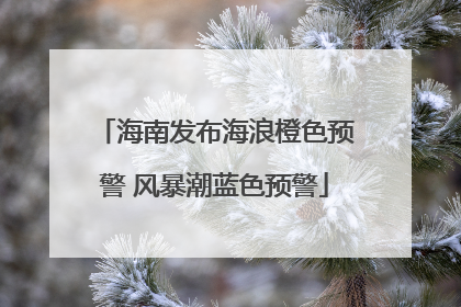 海南发布海浪橙色预警 风暴潮蓝色预警