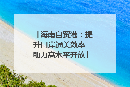 海南自贸港：提升口岸通关效率 助力高水平开放