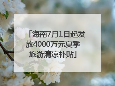 海南7月1日起发放4000万元夏季旅游清凉补贴