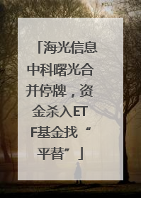 海光信息中科曙光合并停牌，资金杀入ETF基金找“平替”