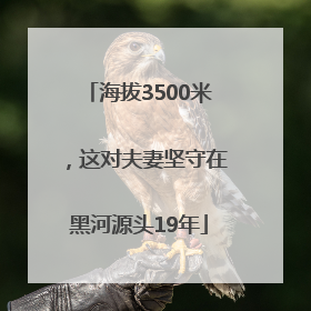 海拔3500米，这对夫妻坚守在黑河源头19年