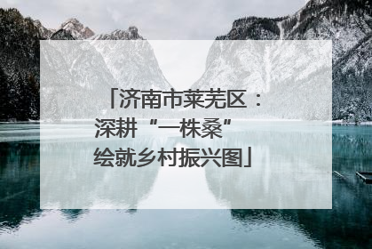 济南市莱芜区：深耕“一株桑” 绘就乡村振兴图