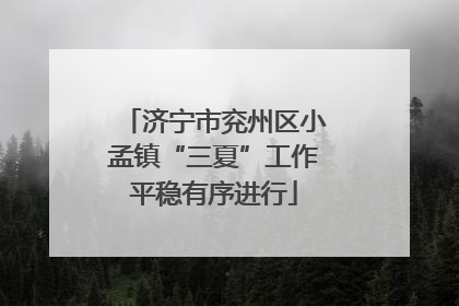 济宁市兖州区小孟镇“三夏”工作平稳有序进行