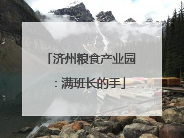 济州粮食产业园：满班长的手