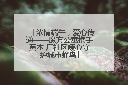 浓情端午，爱心传递——魔方公寓携手黄木 厂社区暖心守护城市蜂鸟