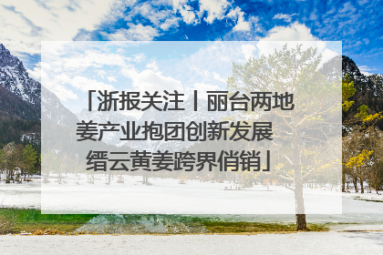 浙报关注丨丽台两地姜产业抱团创新发展 缙云黄姜跨界俏销