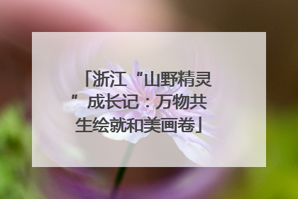 浙江“山野精灵”成长记：万物共生绘就和美画卷