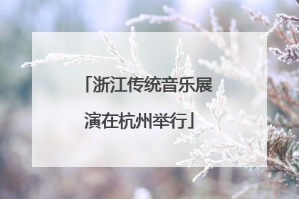浙江传统音乐展演在杭州举行