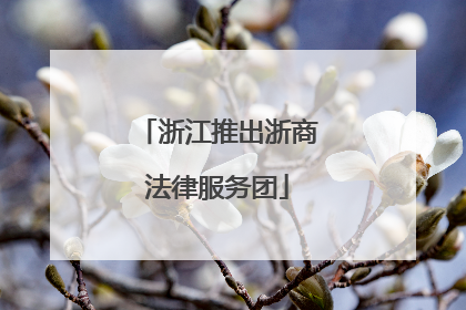 浙江推出浙商法律服务团