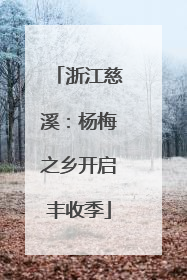 浙江慈溪：杨梅之乡开启丰收季
