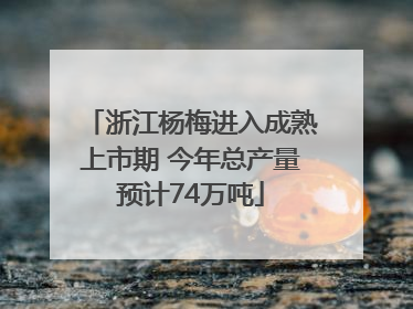 浙江杨梅进入成熟上市期 今年总产量预计74万吨