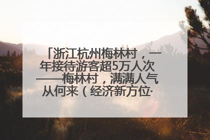 浙江杭州梅林村，一年接待游客超5万人次——梅林村，满满人气从何来（经济新方位·农村消费观察）