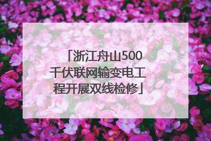 浙江舟山500千伏联网输变电工程开展双线检修