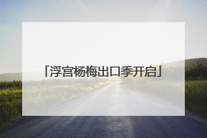 浮宫杨梅出口季开启