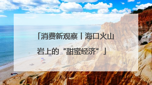 消费新观察丨海口火山岩上的“甜蜜经济”