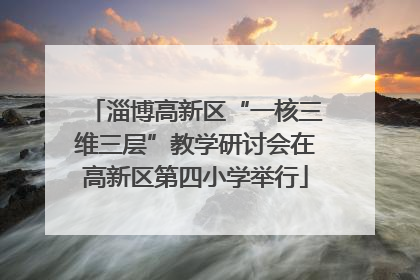淄博高新区“一核三维三层”教学研讨会在高新区第四小学举行