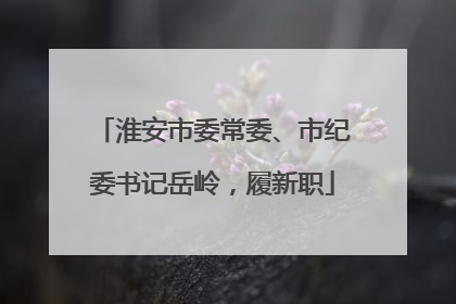 淮安市委常委、市纪委书记岳岭，履新职