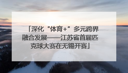 深化“体育+”多元跨界融合发展——江苏省首届匹克球大赛在无锡开赛