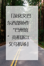 深化义巴东西部协作 “巴州馆”亮相浙江义乌机场