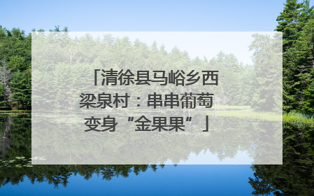 清徐县马峪乡西梁泉村：串串葡萄变身“金果果”