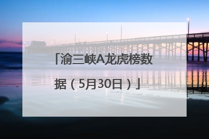 渝三峡A龙虎榜数据（5月30日）