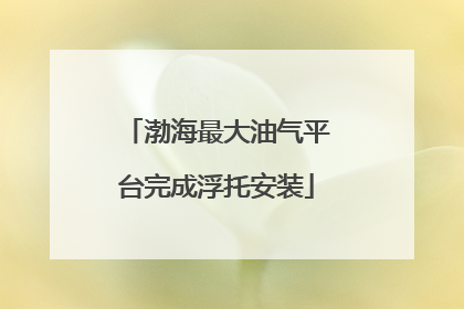渤海最大油气平台完成浮托安装