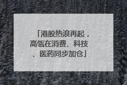 港股热浪再起，高瓴在消费、科技、医药同步加仓