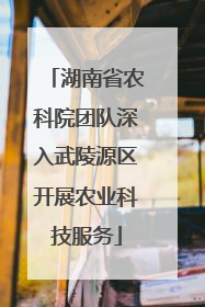 湖南省农科院团队深入武陵源区开展农业科技服务