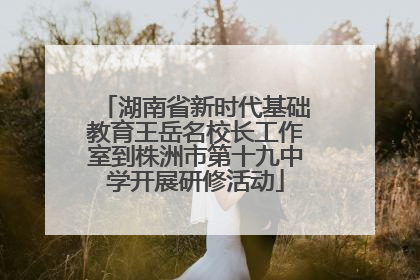 湖南省新时代基础教育王岳名校长工作室到株洲市第十九中学开展研修活动