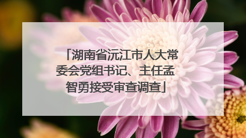 湖南省沅江市人大常委会党组书记、主任孟智勇接受审查调查