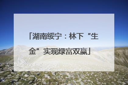 湖南绥宁：林下“生金”实现绿富双赢