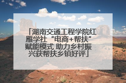 湖南交通工程学院红雁学社“电商+帮扶”赋能模式 助力乡村振兴获帮扶乡镇好评