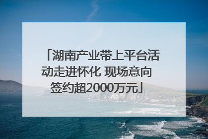 湖南产业带上平台活动走进怀化 现场意向签约超2000万元