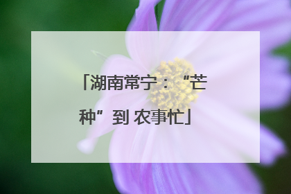 湖南常宁：“芒种”到 农事忙