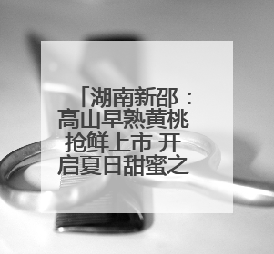 湖南新邵：高山早熟黄桃抢鲜上市 开启夏日甜蜜之旅