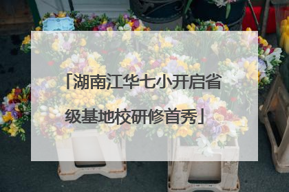 湖南江华七小开启省级基地校研修首秀