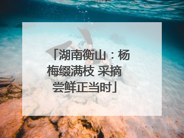 湖南衡山：杨梅缀满枝 采摘尝鲜正当时
