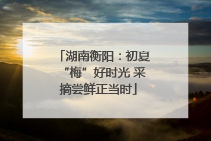 湖南衡阳：初夏“梅”好时光 采摘尝鲜正当时
