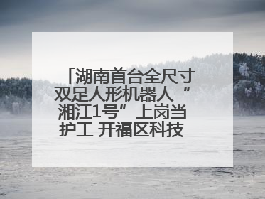 湖南首台全尺寸双足人形机器人“湘江1号”上岗当护工 开福区科技活动周十大科创项目签约