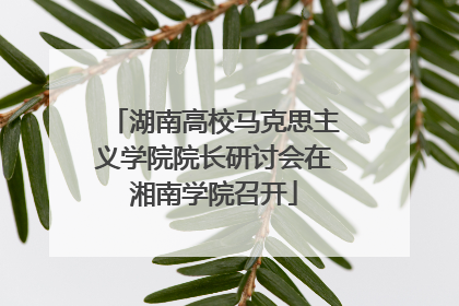 湖南高校马克思主义学院院长研讨会在湘南学院召开