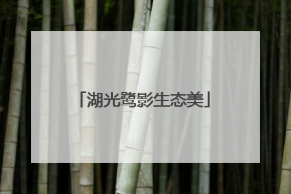 湖光鹭影生态美