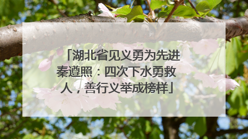 湖北省见义勇为先进秦遵照：四次下水勇救人，善行义举成榜样
