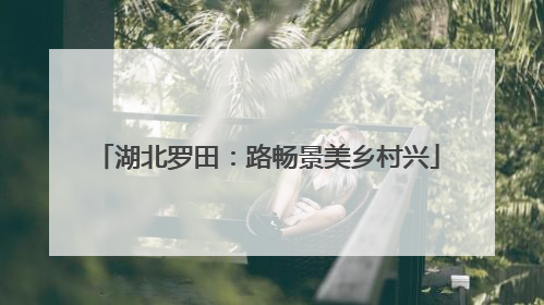 湖北罗田：路畅景美乡村兴