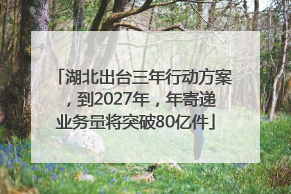 湖北出台三年行动方案，到2027年，年寄递业务量将突破80亿件